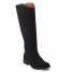 Ecological boot